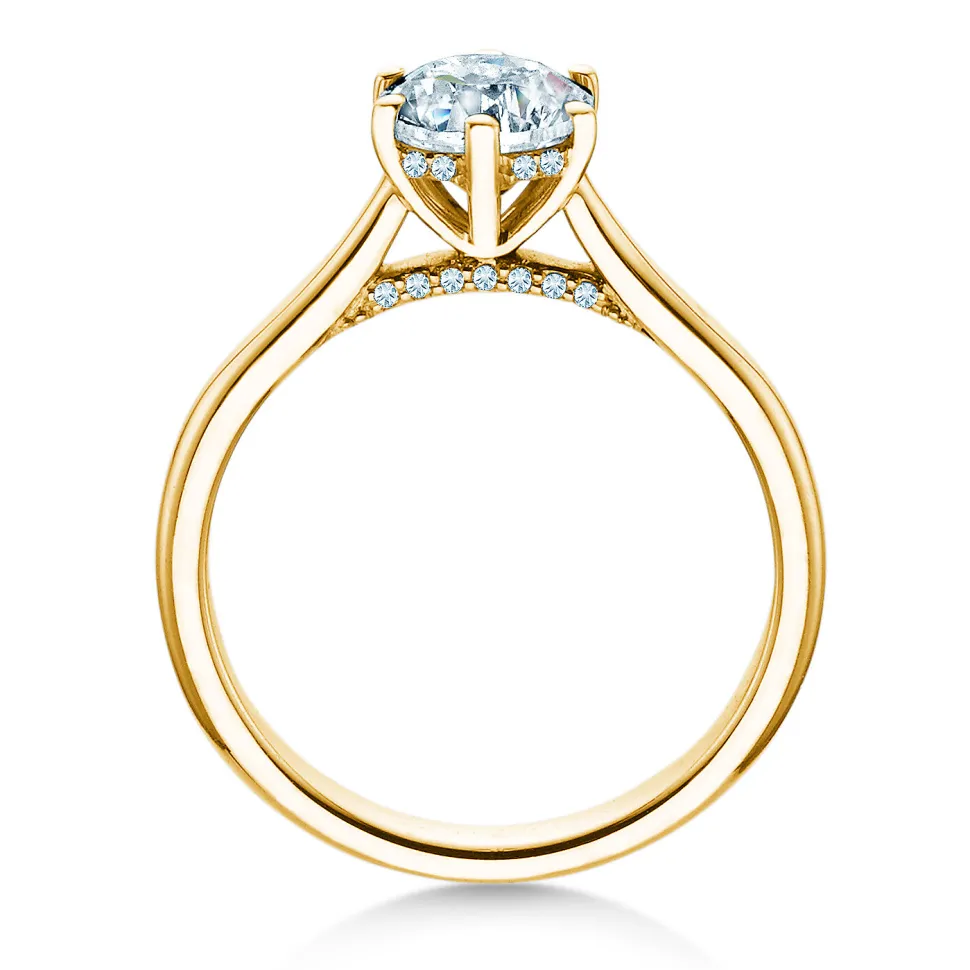 Diamantring Classic 6 Hidden Halo