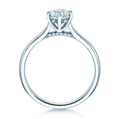 Diamantring Classic 6 Hidden Halo