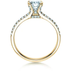 Diamantring Dynasty