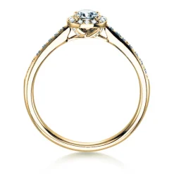 Diamantring Halo Petite