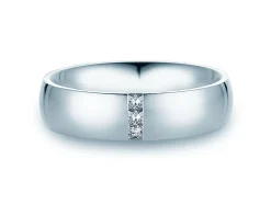 Eheringe 2Souls