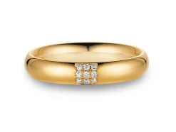 Eheringe Unity