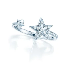Eternityring Facing Stars