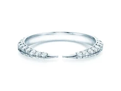 Eternityring Fierce Gap