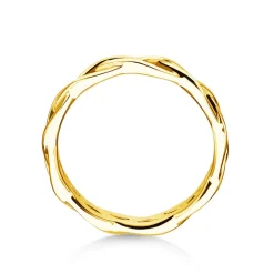 Ring Curve