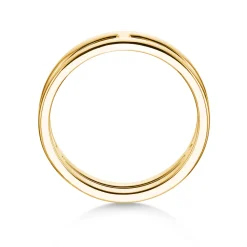 Ring Link