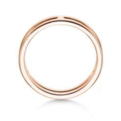 Ring Link