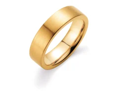 Ring Modern 6mm
