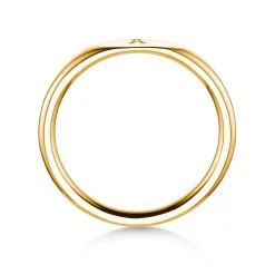 Ring Signet