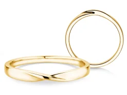 Ring Spin