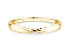 Ring Spin
