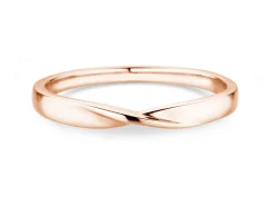 Ring Spin