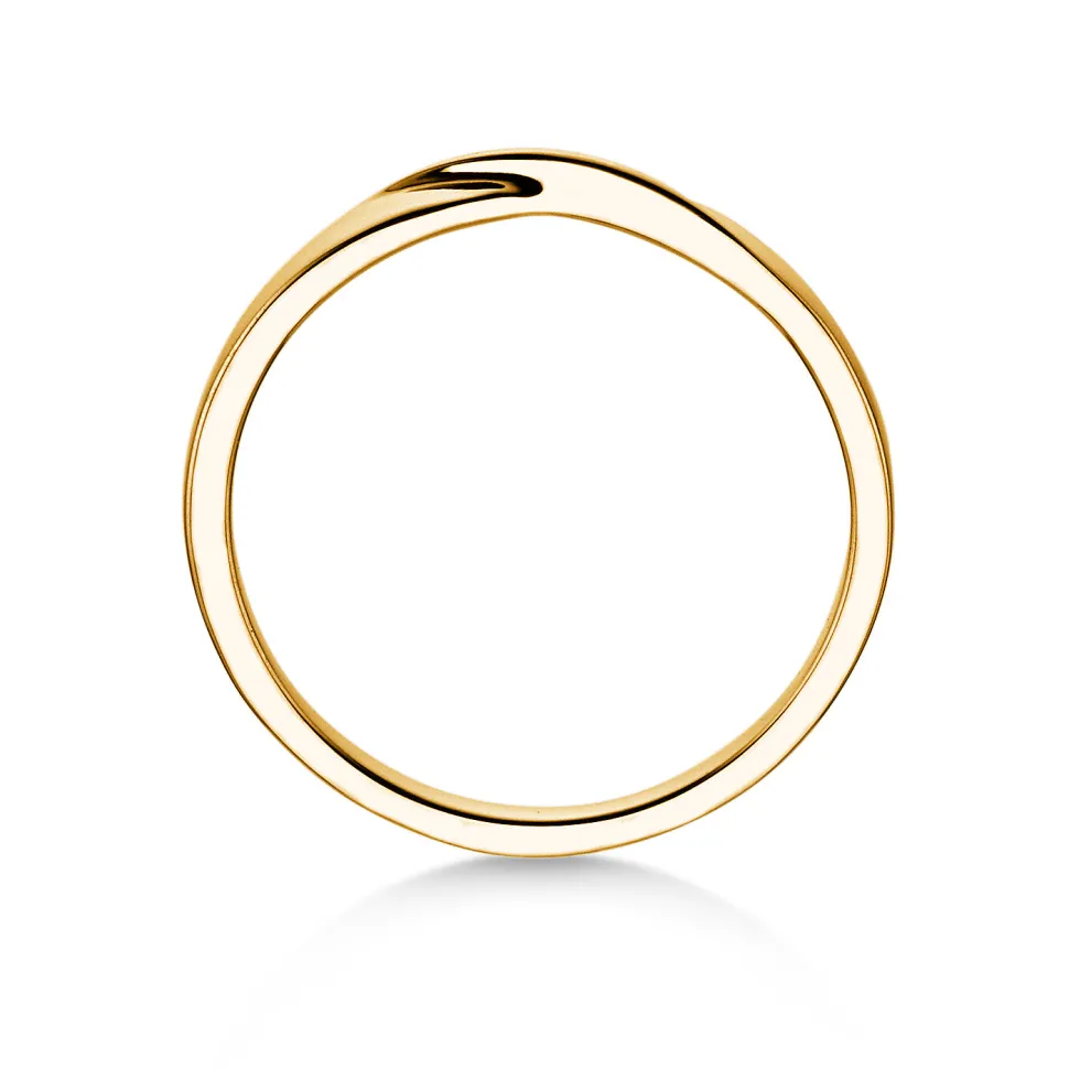 Ring Spin