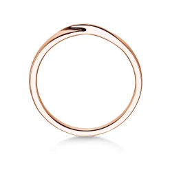 Ring Spin