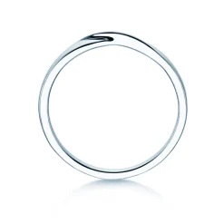 Ring Spin