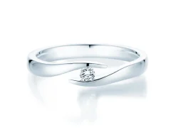 Spannring Twist