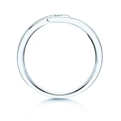 Spannring Twist